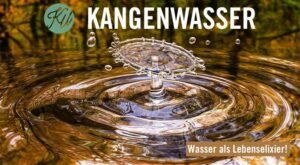 Kangenwasser Vortrag